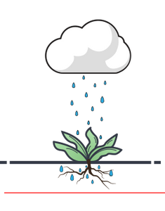 Watering by hose or sprinkler is a traditional watering method and it only reaches the top few inches of the soil.
