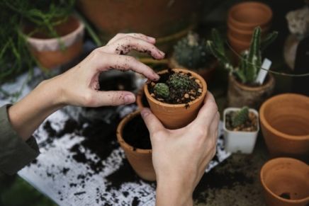 Ten Unique Ideas for Garden Gifts for Your Favorite Gardener