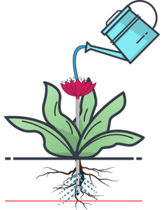 Deep root watering with the help of watering stakes is the key to healthy plants. 