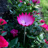 Jazmine - Fuchsia Flower & Stem Set